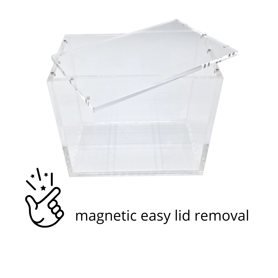 Acryl-Vitrine für englische Pokémon-Booster-Box