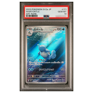 Wartortle Art Rare PSA 10